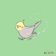 ヒメ日記 2026/04/24 19:01 投稿 桑野わかば ABC 岩手ソープ