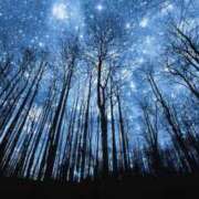 ヒメ日記 2026/04/26 00:01 投稿 桑野わかば ABC 岩手ソープ