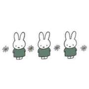 ヒメ日記 2024/12/30 05:46 投稿 昆野ほたる ABC 岩手ソープ