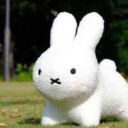 ヒメ日記 2024/12/31 08:46 投稿 昆野ほたる ABC 岩手ソープ