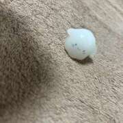 ヒメ日記 2026/04/19 15:01 投稿 昆野ほたる ABC 岩手ソープ