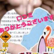 ヒメ日記 2025/06/23 12:46 投稿 秋山いろは ABC 岩手ソープ