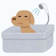 ヒメ日記 2025/04/13 05:46 投稿 関みらい ABC 岩手ソープ