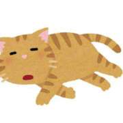 ヒメ日記 2025/04/26 06:01 投稿 関みらい ABC 岩手ソープ