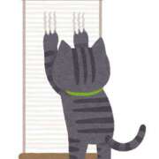 ヒメ日記 2025/07/06 08:46 投稿 関みらい ABC 岩手ソープ