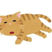 ヒメ日記 2026/01/04 05:16 投稿 関みらい ABC 岩手ソープ