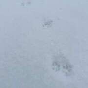 ヒメ日記 2024/12/29 13:31 投稿 滝川とわ ABC 岩手ソープ