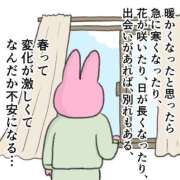 ヒメ日記 2025/03/17 07:16 投稿 滝川とわ ABC 岩手ソープ