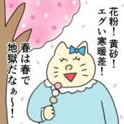 ヒメ日記 2025/03/27 07:01 投稿 滝川とわ ABC 岩手ソープ