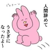 ヒメ日記 2025/04/14 05:16 投稿 滝川とわ ABC 岩手ソープ