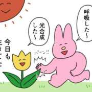 ヒメ日記 2025/04/28 07:31 投稿 滝川とわ ABC 岩手ソープ