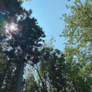 ヒメ日記 2025/06/09 05:31 投稿 滝川とわ ABC 岩手ソープ