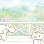 ヒメ日記 2025/10/30 05:31 投稿 滝川とわ ABC 岩手ソープ