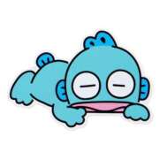 ヒメ日記 2026/01/05 06:16 投稿 滝川とわ ABC 岩手ソープ