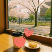 ヒメ日記 2025/04/12 21:31 投稿 竹内みずき ABC 岩手ソープ