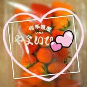 ヒメ日記 2025/04/19 15:16 投稿 竹内みずき ABC 岩手ソープ