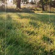 ヒメ日記 2025/05/05 07:01 投稿 竹内みずき ABC 岩手ソープ