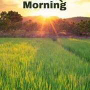 ヒメ日記 2025/05/11 07:46 投稿 竹内みずき ABC 岩手ソープ