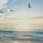 ヒメ日記 2025/08/12 05:31 投稿 竹内みずき ABC 岩手ソープ