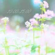 ヒメ日記 2026/04/10 13:46 投稿 竹内みずき ABC 岩手ソープ