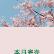 ヒメ日記 2026/04/12 06:31 投稿 竹内みずき ABC 岩手ソープ