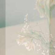 ヒメ日記 2026/04/12 11:31 投稿 竹内みずき ABC 岩手ソープ