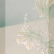 ヒメ日記 2026/04/12 12:46 投稿 竹内みずき ABC 岩手ソープ