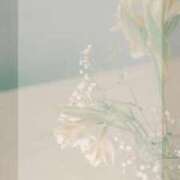 ヒメ日記 2026/04/12 15:16 投稿 竹内みずき ABC 岩手ソープ