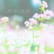 ヒメ日記 2026/05/01 15:01 投稿 竹内みずき ABC 岩手ソープ