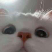 ヒメ日記 2024/12/28 06:46 投稿 山下つらら ABC 岩手ソープ