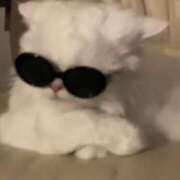 ヒメ日記 2025/01/14 21:46 投稿 山下つらら ABC 岩手ソープ