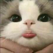 ヒメ日記 2025/02/01 07:16 投稿 山下つらら ABC 岩手ソープ