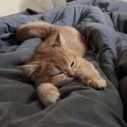 ヒメ日記 2025/04/29 06:01 投稿 山下つらら ABC 岩手ソープ