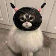 ヒメ日記 2025/04/29 06:31 投稿 山下つらら ABC 岩手ソープ