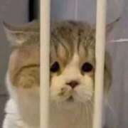 ヒメ日記 2025/05/06 21:16 投稿 山下つらら ABC 岩手ソープ