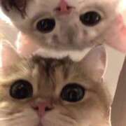 ヒメ日記 2025/06/04 07:01 投稿 山下つらら ABC 岩手ソープ