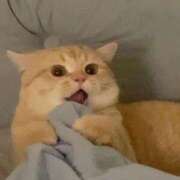 ヒメ日記 2025/09/02 21:31 投稿 山下つらら ABC 岩手ソープ