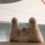 ヒメ日記 2025/10/01 06:46 投稿 山下つらら ABC 岩手ソープ