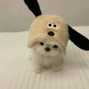 ヒメ日記 2025/11/20 05:01 投稿 山下つらら ABC 岩手ソープ