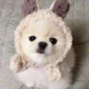 ヒメ日記 2026/01/03 14:01 投稿 山下つらら ABC 岩手ソープ