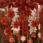 ヒメ日記 2024/12/18 16:16 投稿 玉井きなこ ABC 岩手ソープ