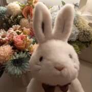 ヒメ日記 2025/02/12 18:31 投稿 玉井きなこ ABC 岩手ソープ