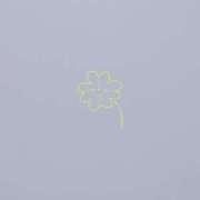 ヒメ日記 2025/07/16 08:46 投稿 玉井きなこ ABC 岩手ソープ