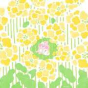 ヒメ日記 2026/03/19 00:01 投稿 玉井きなこ ABC 岩手ソープ