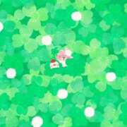 ヒメ日記 2026/05/20 09:46 投稿 玉井きなこ ABC 岩手ソープ