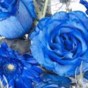 ヒメ日記 2024/12/23 19:16 投稿 今井しほ ABC 岩手ソープ