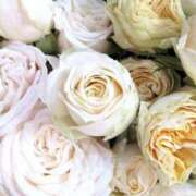 ヒメ日記 2025/03/14 00:16 投稿 今井しほ ABC 岩手ソープ