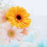 ヒメ日記 2025/03/26 11:01 投稿 今井しほ ABC 岩手ソープ