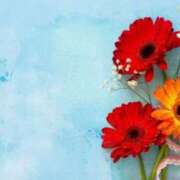 ヒメ日記 2025/03/27 07:31 投稿 今井しほ ABC 岩手ソープ