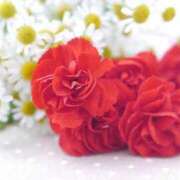 ヒメ日記 2025/03/27 14:16 投稿 今井しほ ABC 岩手ソープ